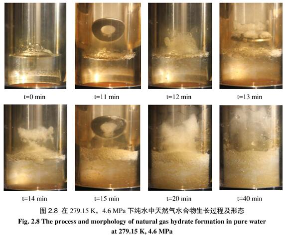 天然气水合物反应装置(图3) 天然气水合物反应装置(图3)