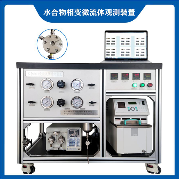 水合物相变微流体观测系统(图1) 水合物相变微流体观测系统(图1)